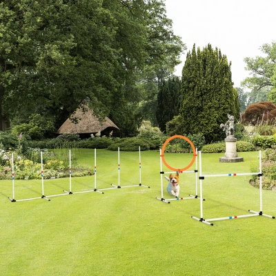 PawHut 3-tlg. Hunde Agility Set Training für Haustiere Hundetrainigsset Inklusive Tasche Leicht zu tragen Kunststoff Weiß+Gelb