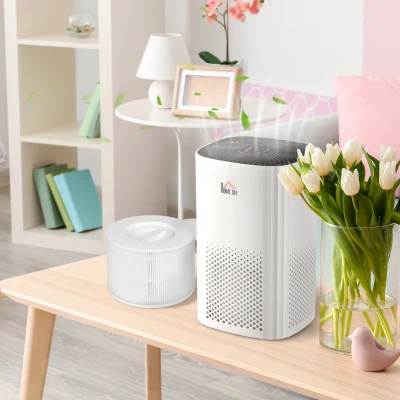 HOMCOM Purificateur d'Air Ioniseur 3 Étapes Minuterie
