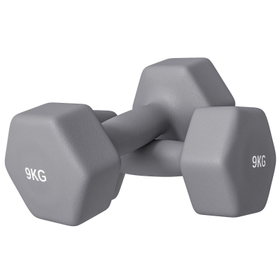 SPORTNOW Set Manubri da 2x9 kg in Metallo 25x11x11cm Grigio