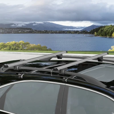 HOMCOM Barras de Techo Universales para Vehículos de Aluminio Bacas Portaequipajes Coche Automóvil Baca para Coche Universales con Cerradura Carga 75 kg 123,5 cm Plata