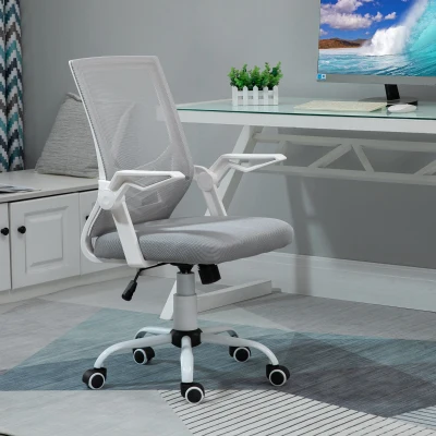 Vinsetto Ergonomic Office Chair Grey with Lumbar Support