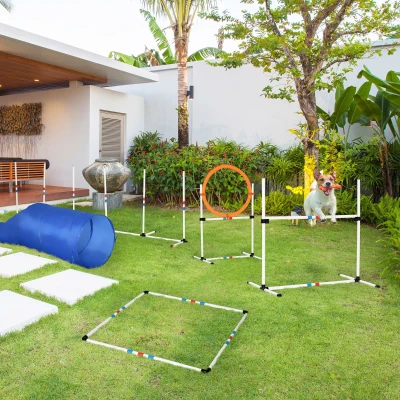 PawHut Pet Agility Set 60cm x 60cm x 300cm Bianco, Arancione, Blu