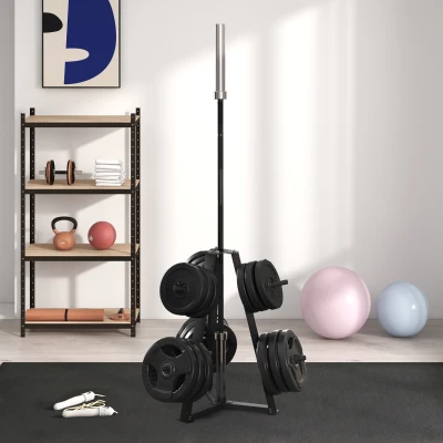 SPORTNOW Rack Rangement Poids 300kg Plaques Barres Haltères