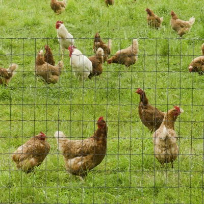 PawHut Recinzione per animali 1000cm x 0.21cm x 100cm Verde