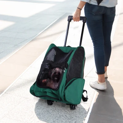 PawHut Trasportino zaino per cani 42cm x 25cm x 55cm Verde