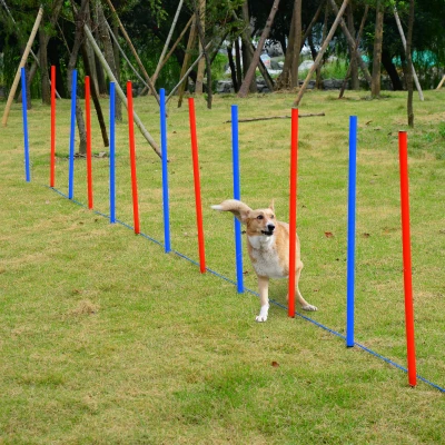 PawHut Dog Agility Training Set Adjustable Poles