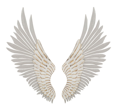 Mauro Ferretti Panou Aripi Natural Set 2 Bucati cm 43,8X2,5X104