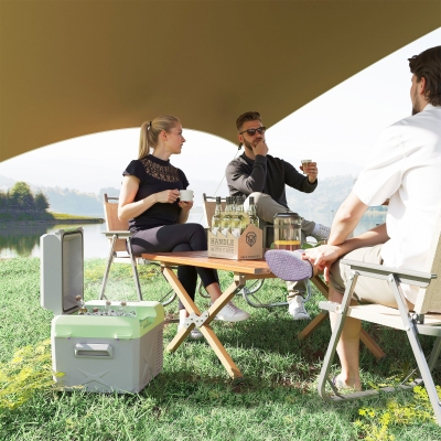 Outsunny Frigo Portatile da 12 Litri, Grigio e Verde