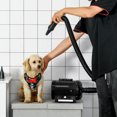 PawHut Secador de Pelo para Perros 2800W Secador para Mascotas con Temperatura y Velocidad del Viento Ajustable 3 Boquillas Tubo Flexible 2,1 m y Asa Portátil 40x16x20 cm Negro