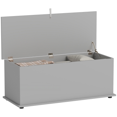 HOMCOM Banc Coffre Rangement 100x40x40 cm Gris avec Couvercle