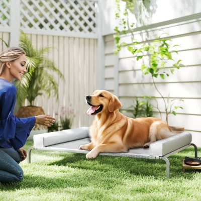 PawHut Cama Elevada para Cães com Latertais Amovíveis Cama Elevada para Cães Grandes Portátil com Malha Respirável 130x90x30 cm Cinza Claro