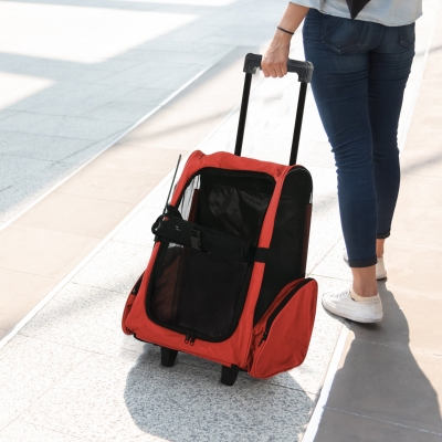 Pawhut Hundetransporttasche, Haustierrucksack, 2-in-1-Design, ausziehbarer Griff, Seitentaschen, Rot, 42 x 25 x 55cm