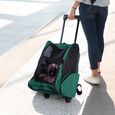 PawHut Sac Transport 2en1 Roues Télescopique Chiens Chats Vert