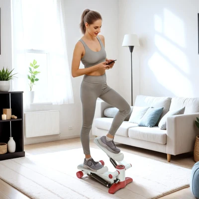 SPORTNOW Stepper mini stepper con monitor LCD pedales antideslizantes para ejercicio en casa 44,5x29x20 cm Gris
