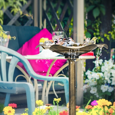 Bird Bath 50W x 50D x 71Hcm Bronze Tone
