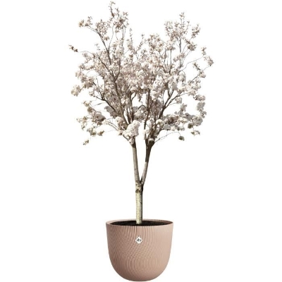 ELHO Pot de fleurs Sereh Rond 47 - Marron - Ø 47 x H 40 cm - 100% recyclé