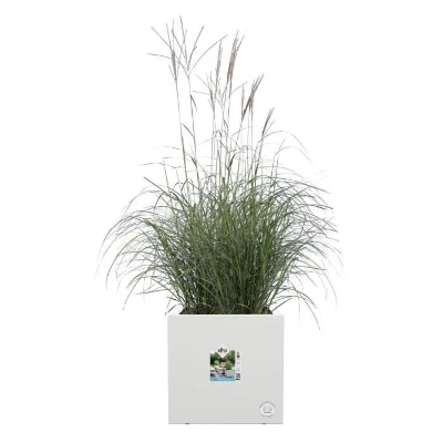 ELHO Bac a fleurs Vivo Next Square 40 - Ø 39 x H 38 cm - Intérieur,Extérieur - 100% recyclé -  Blanc