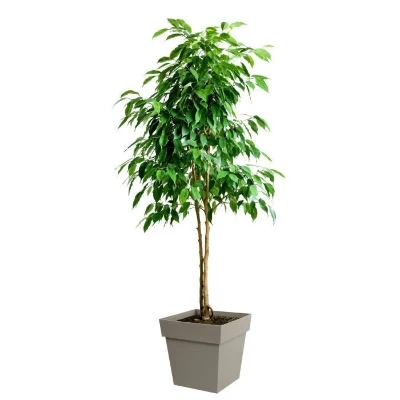 Pot de fleur Carré 40 cm - EDA – Toscane - 39 x 39 x H.39 cm - 38 L - Taupe