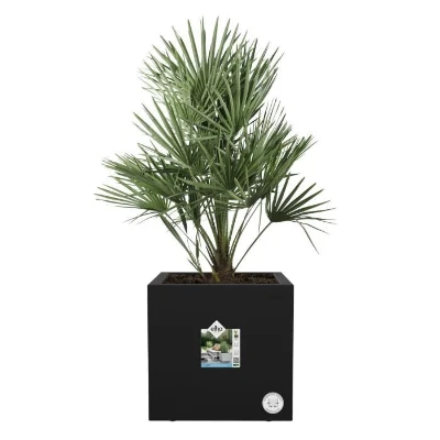 ELHO Bac a fleurs Vivo Next Square 30  - Ø 30 x H 29 cm - Intérieur,Extérieur - 100% recyclé - Noir