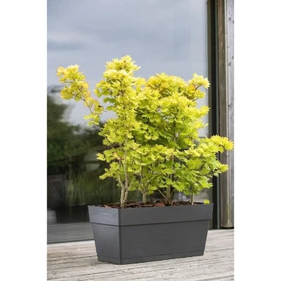 DEROMA Jardiniere Muret Save R - 79x35 x H35 cm - 75L - Gris foncé