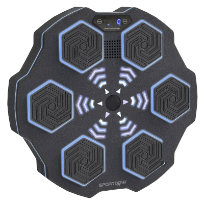 SPORTNOW Musikboxmaschine, Bluetooth-Boxgerät, Wandmontage, 9 Geschwindigkeiten und Modi, LED-Lichter, Schwarz