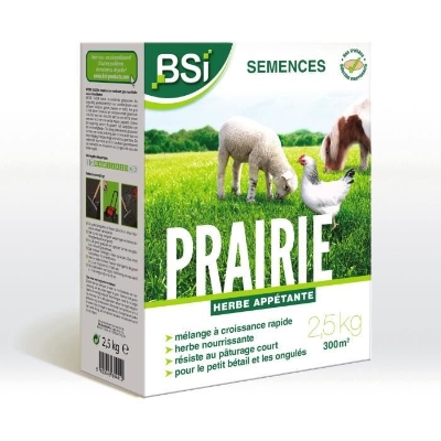 BSI - Semences De Gazon - Prairie - Tres Haute qualité - Grande Surface - Jusqu'a 300m² - 2,5Kg