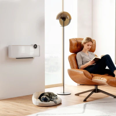 HOMCOM Elektrischer Keramik-Heizlüfter 2000W zur Wandmontage mit 3 Modi, einstellbarer Temperatur, Timer und Fernbedienung, Weiß