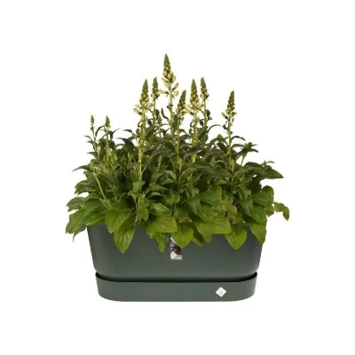 ELHO Jardiniere avec roues Greenville Terrasse 80 - L 35 x W 78 x H 33.5 cm- Leaf green