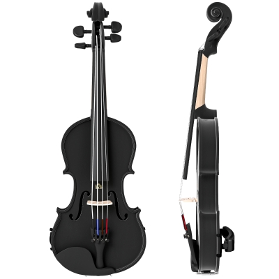 HOMCOM Violon 4/4 Bois Noir avec Housse et Accessoires