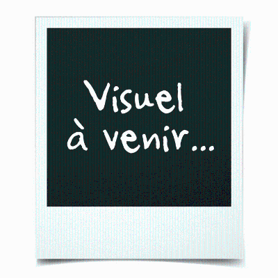 Lave-linge hublot CONTINENTAL EDISON CELL1214IWS -12kg - Largeur 60 cm - Classe A - 1400 trs/min - moteur induction - blanc