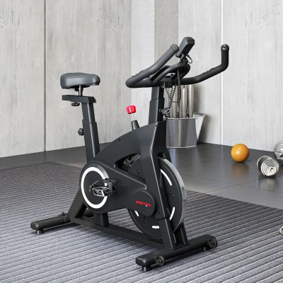 SPORTNOW Cyclette Magnetica Volano 10kg con Sedile Regolabile