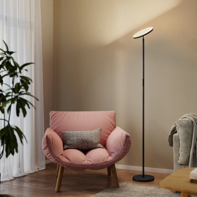 HOMCOM RGB Dimmable Floor Lamp Rotatable Head Black