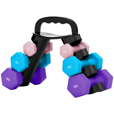SPORTNOW Haltères Hexagonaux 2x1kg 2x3kg 2x5kg avec Support