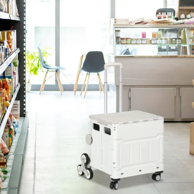 HOMCOM Carrito de la Compra Plegable con 2 Ruedas para Subir Escaleras Ángulo y Longitud de Mango Ajustable 48x43x95 cm Blanco