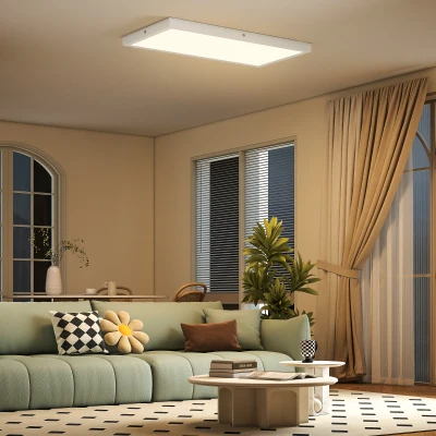 HOMCOM Lot 2 Plafonniers LED Réglables 60x30cm Blanc