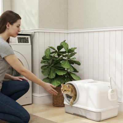 PawHut Katzentoilette mit Deckel Schaufel ausziehbares Tablett 2 Aktivkohlefilter für Katzen bis 5 kg 59x39,5x39,5cm Weiß+Grau