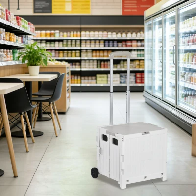 HOMCOM Carrito para Supermercado con 2 Ruedas Longitud de Mango Ajustable Capacidad 32 Litros 41,5x32,5x85 cm Blanco