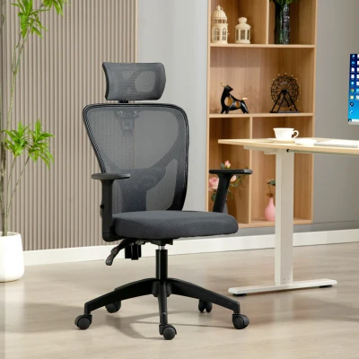 Vinsetto Silla de Oficina Ergonómica y Regulable con Soporte Lumbar y Reposacabezas, 66x61x106-116 cm, Gris