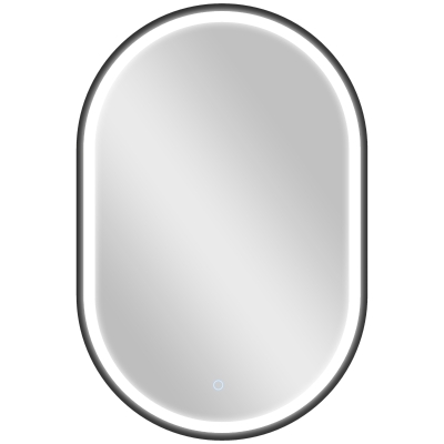 HOMCOM Espelho de Casa de Banho com Luz 60x90 cm Espelho de Parede Oval 3 Cores de Luz Brilho Regulável Função Antiembaçiamento Memória Preto