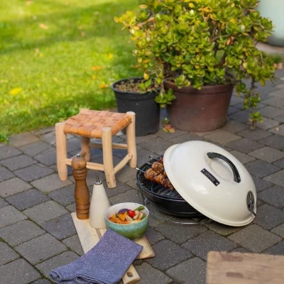 Barbecue a charbon portable - LIVOO - DOC301 - ø34 cm - Grille chromé - Hauteur 18 cm - Poignées - Loquets de sécurité