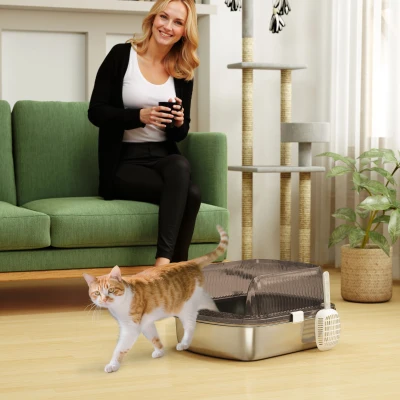 PawHut Caixa de Areia para Gatos Fechada com Bandeja em Aço Inoxidável Bordas Altas Pá para Gatos Grandes 53x42x27 cm Cinzento