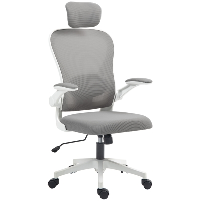 HOMCOM Bürostuhl Ergonomischer Schreibtischstuhl mit Hochklappbaren Armlehnen, Verstellbarer Lendenwirbelstütze Grau