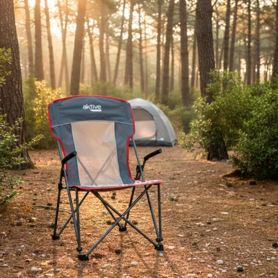 Silla Plegable Camping Antivuelco con Reposabrazos Removibles, 59x68x97 Cm, Gris