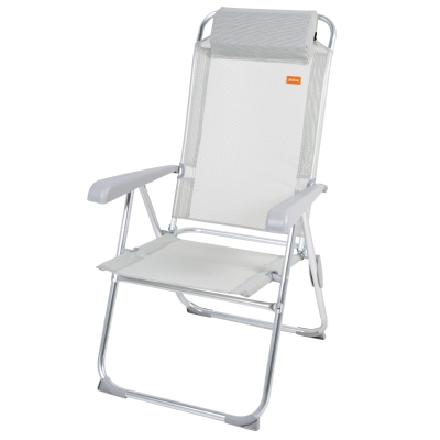 Silla Plegable Camping Multiposición Antivuelco con Cojín, 44x55x101 Cm, Gris