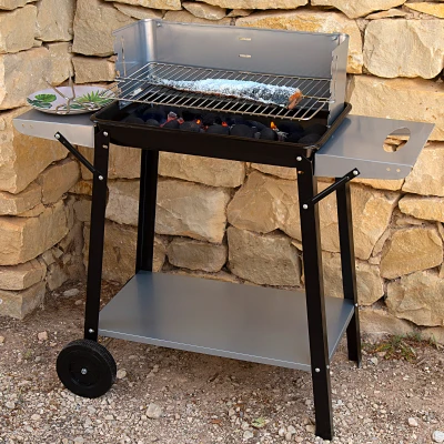 Barbacoa Carbón Portátil Parrilla Regulable 4 Alturas, 90x32x85 Cm, Negro y Gris