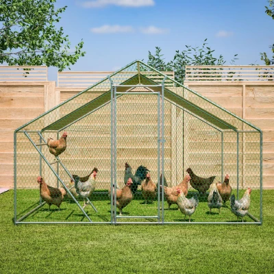 Gallinero con escalera para posadero, 303x400x200 cm, Gris