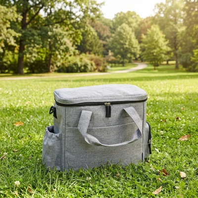 PawHut Sac Voyage Chien 2 Contenants Bol Pliable Gris Clair