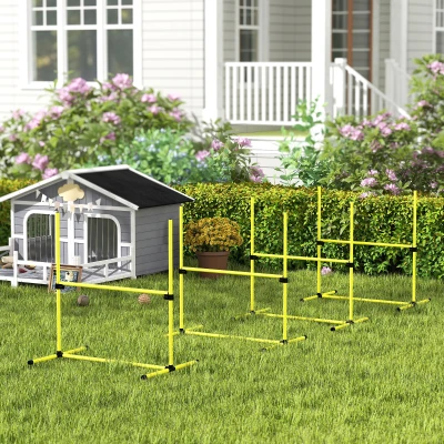 PawHut Agility Chiens 4 Obstacles avec Sac de Transport