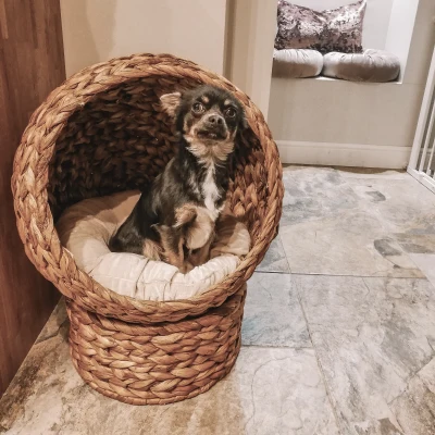 PawHut kattenmand rotan kattennest kattenbed met kussen huisdierbed bruin