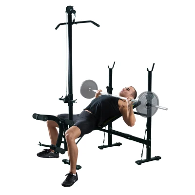 HOMCOM Multifunktionsbank Fitnessstation mit 3-fach verstellbarer Rückenlehne, Beinstütze und oberer Stange, 175x110x202cm, Schwarz